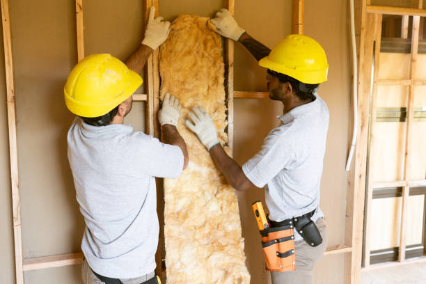 Best Basement Insulation  in Gastonia, NC